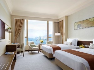 DeluxeSeaviewTwinRoom